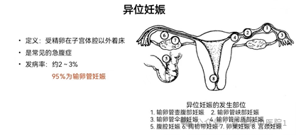 8b79d8598aa7c781337d5671fb130a02.png 8b79d8598aa7c781337d5671fb130a02.png
